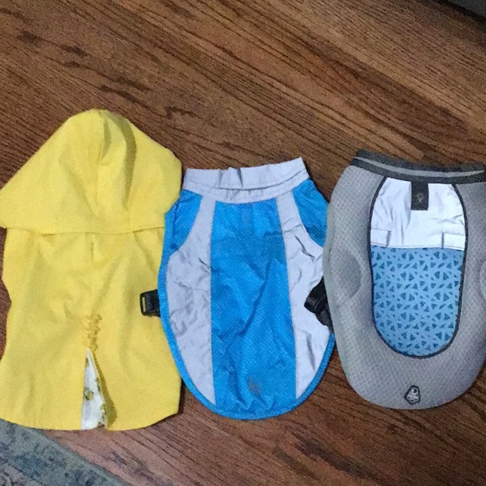 Dog rain gear